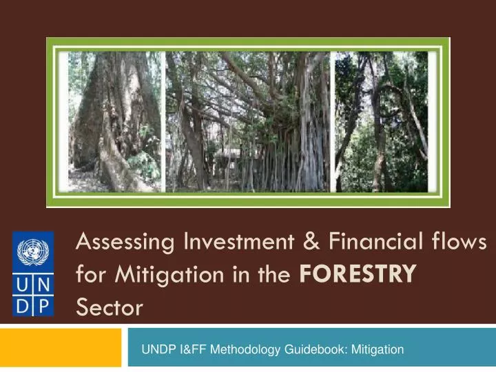 assessing investment financial flows for mitigation in the forestry sector