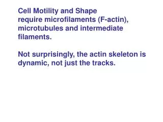 Cell Motility and Shape require microfilaments (F-actin), microtubules and intermediate