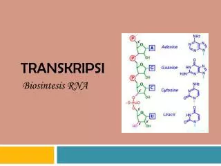transkripsi