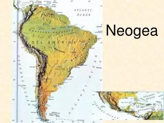Neogea