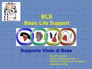 bls basic life support