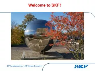 Welcome to SKF!