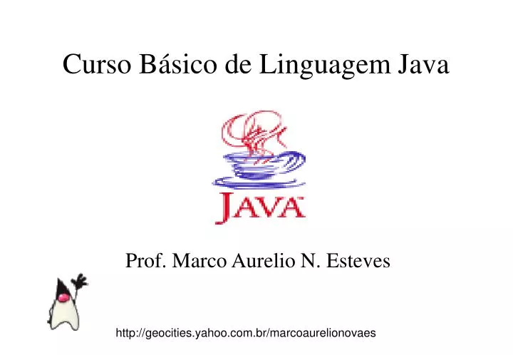 curso b sico de linguagem java