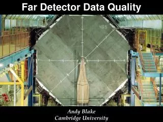 Far Detector Data Quality