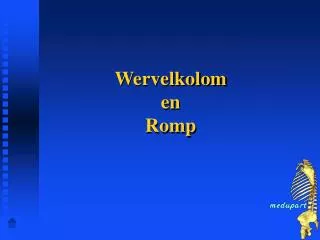 wervelkolom en romp