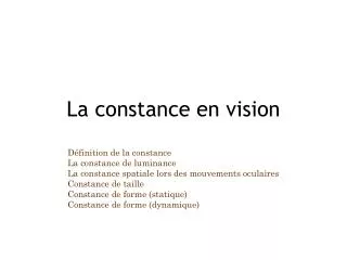 la constance en vision