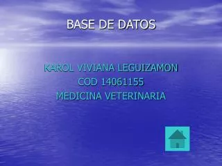 base de datos