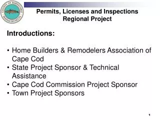 Permits, Licenses and Inspections Regional Project