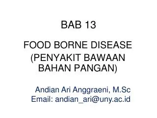 bab 13