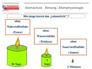 Wie lange brennt das „Lebenslicht“ ?