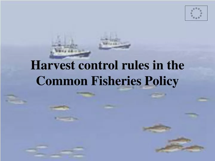 harvest control rules in the common fisheries policy