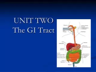 UNIT TWO The GI Tract