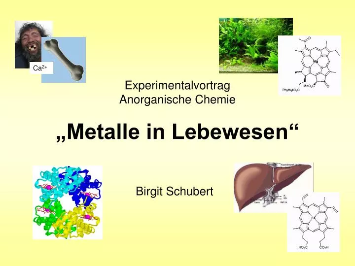 experimentalvortrag anorganische chemie metalle in lebewesen