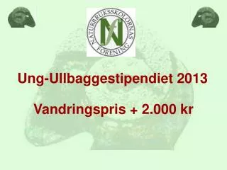 ung ullbaggestipendiet 2013