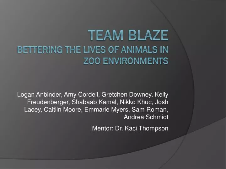 team blaze bettering the lives of animals in zoo environments