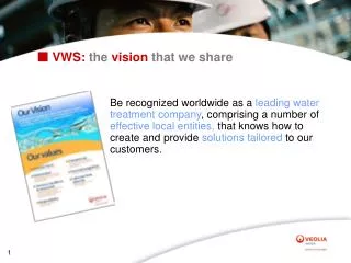 ? VWS: the vision that we share