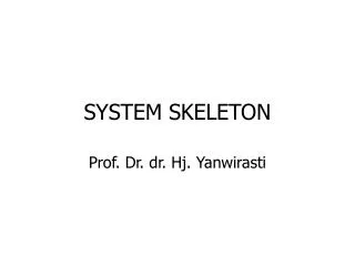 system skeleton