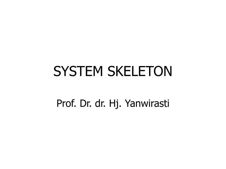 system skeleton