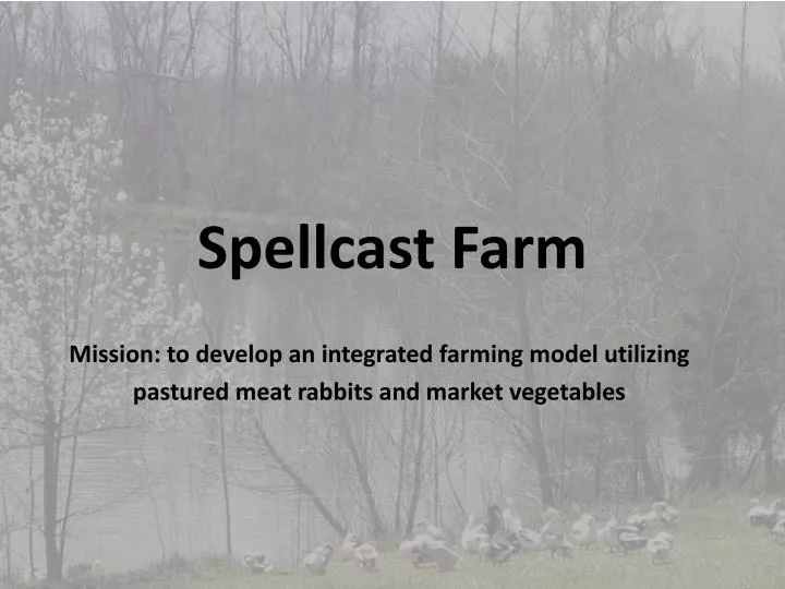 spellcast farm