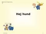Hej hund - slide 1