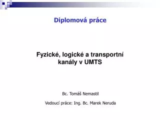 bc tom nemastil vedouc pr ce ing bc marek neruda