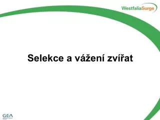 Selekce a vážení zvířat