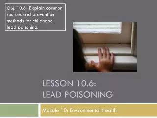 Lesson 10.6: Lead Poisoning