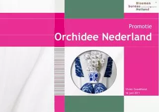 promotie