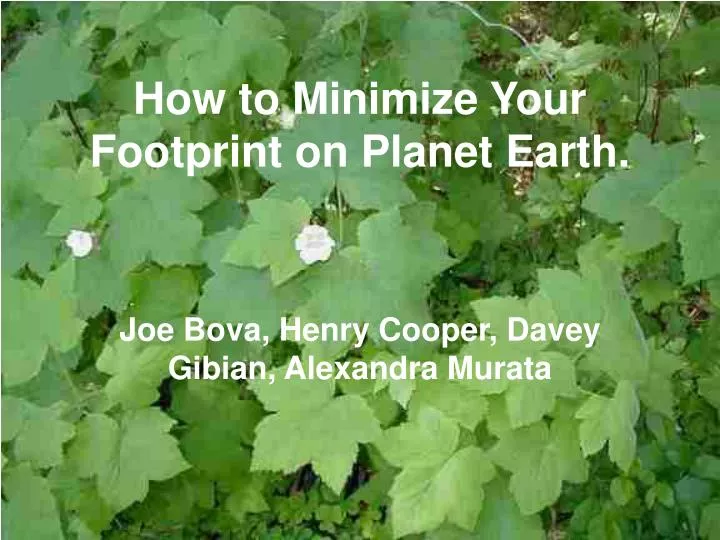 how to minimize your footprint on planet earth