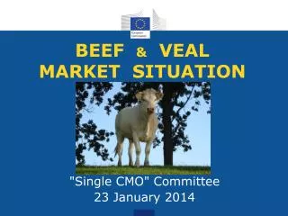 BEEF &amp; VEAL MARKET SITUATION