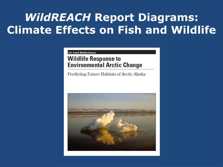 wildreach report diagrams climate effects on fish and wildlife