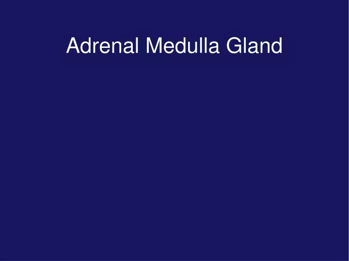 adrenal medulla gland