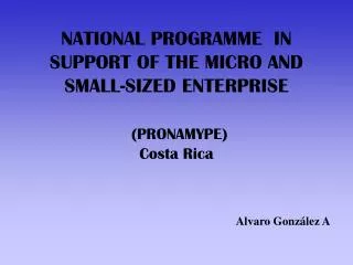 NATIONAL PROGRAMME IN SUPPORT OF THE MICRO AND SMALL-SIZED ENTERPRISE (PRONAMYPE) Costa Rica