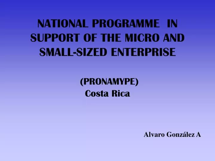 national programme in support of the micro and small sized enterprise pronamype costa rica
