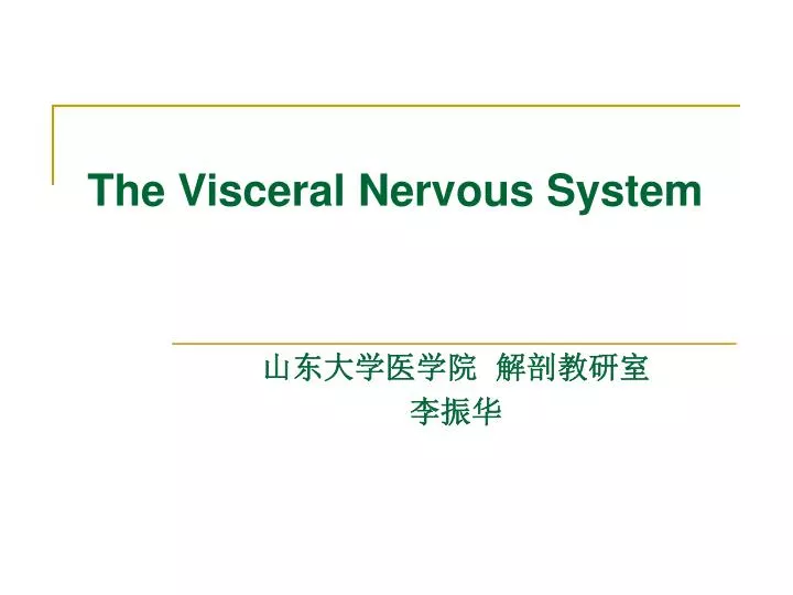 the visceral nervous system