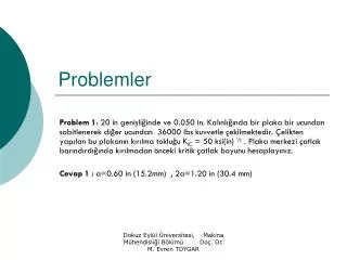 problemler
