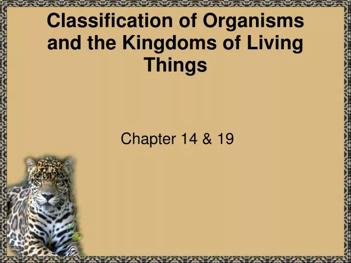 classification of organisms and the kingdoms of living things