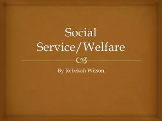 Social Service/Welfare
