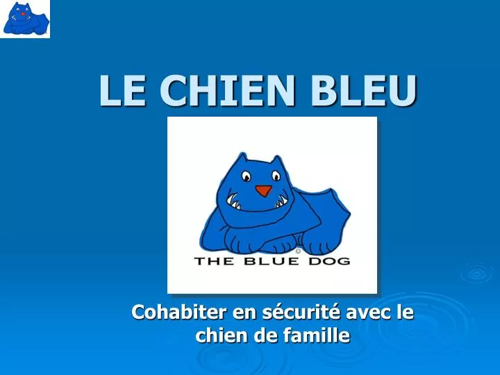le chien bleu