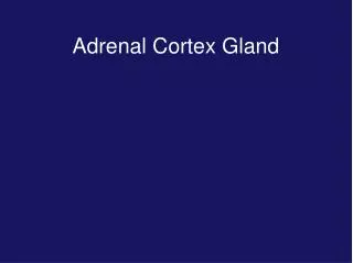Adrenal Cortex Gland