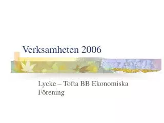 verksamheten 2006