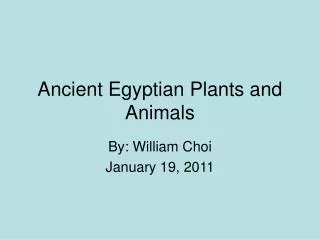 Ancient Egyptian Plants and Animals