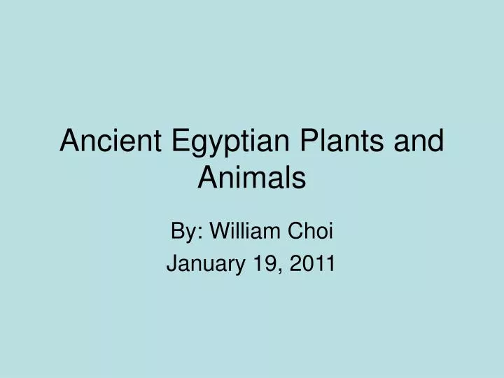 ancient egyptian plants and animals