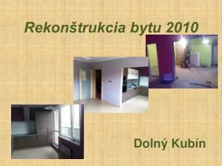 rekon trukcia bytu 2010