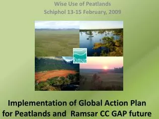 Implementation of Global Action Plan for Peatlands and Ramsar CC GAP future