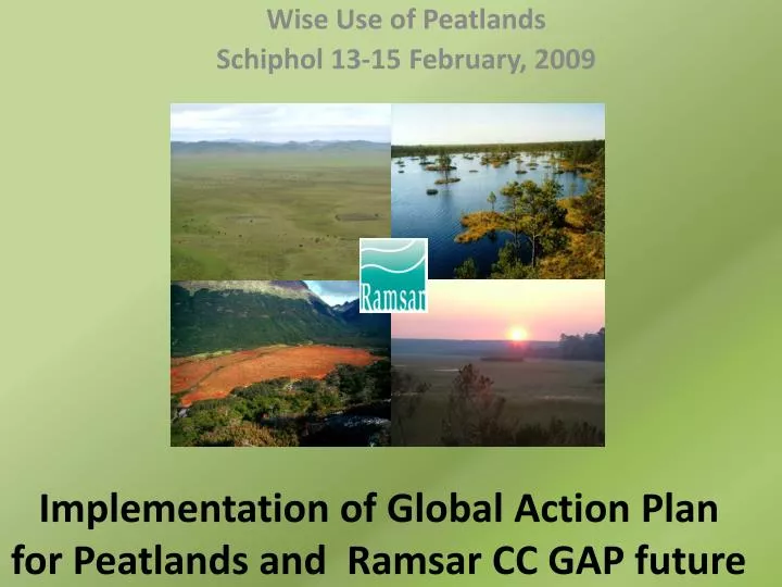 implementation of global action plan for peatlands and ramsar cc gap future