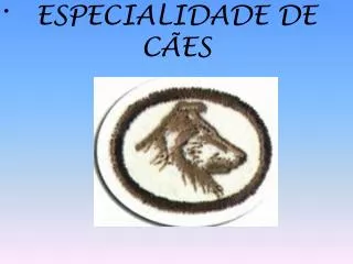 especialidade de c es
