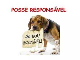 posse respons vel