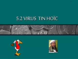 5 2 virus tin ho c