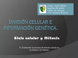 divisi n celular e informaci n gen tica